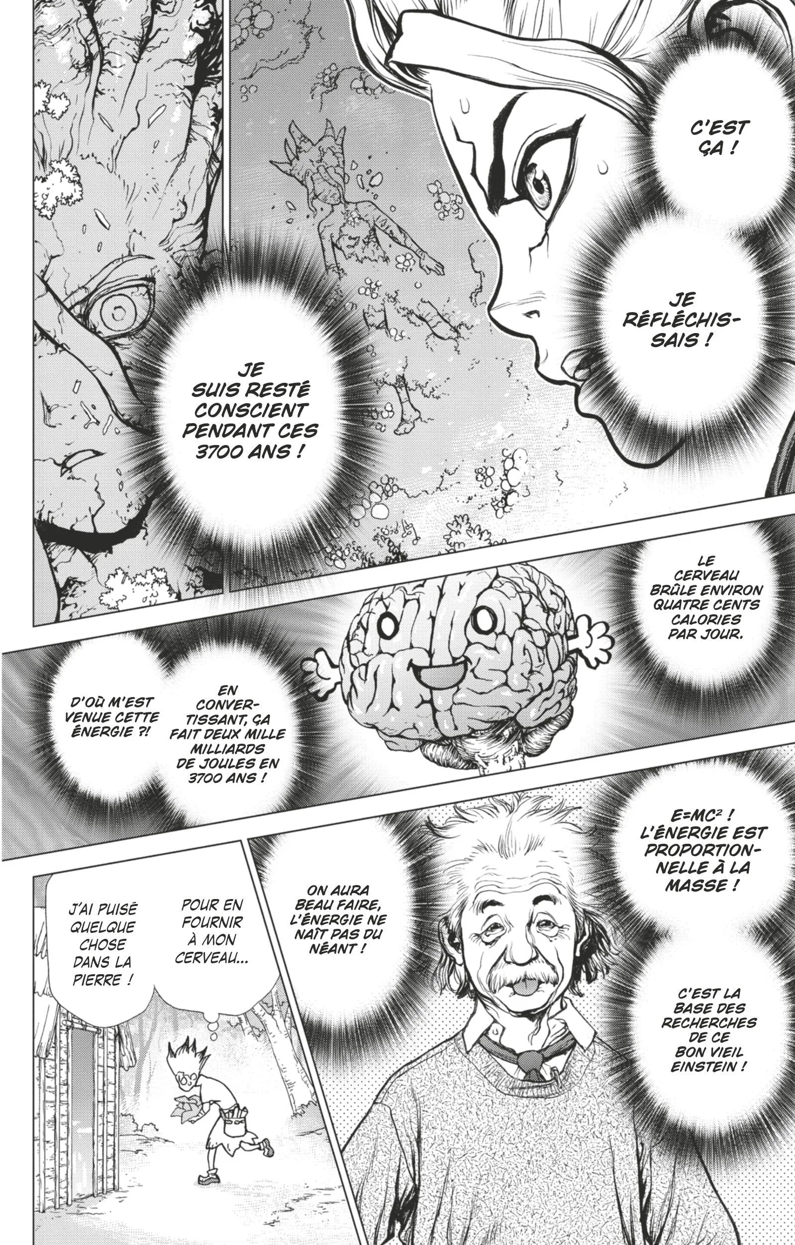 Chapter Image 260
