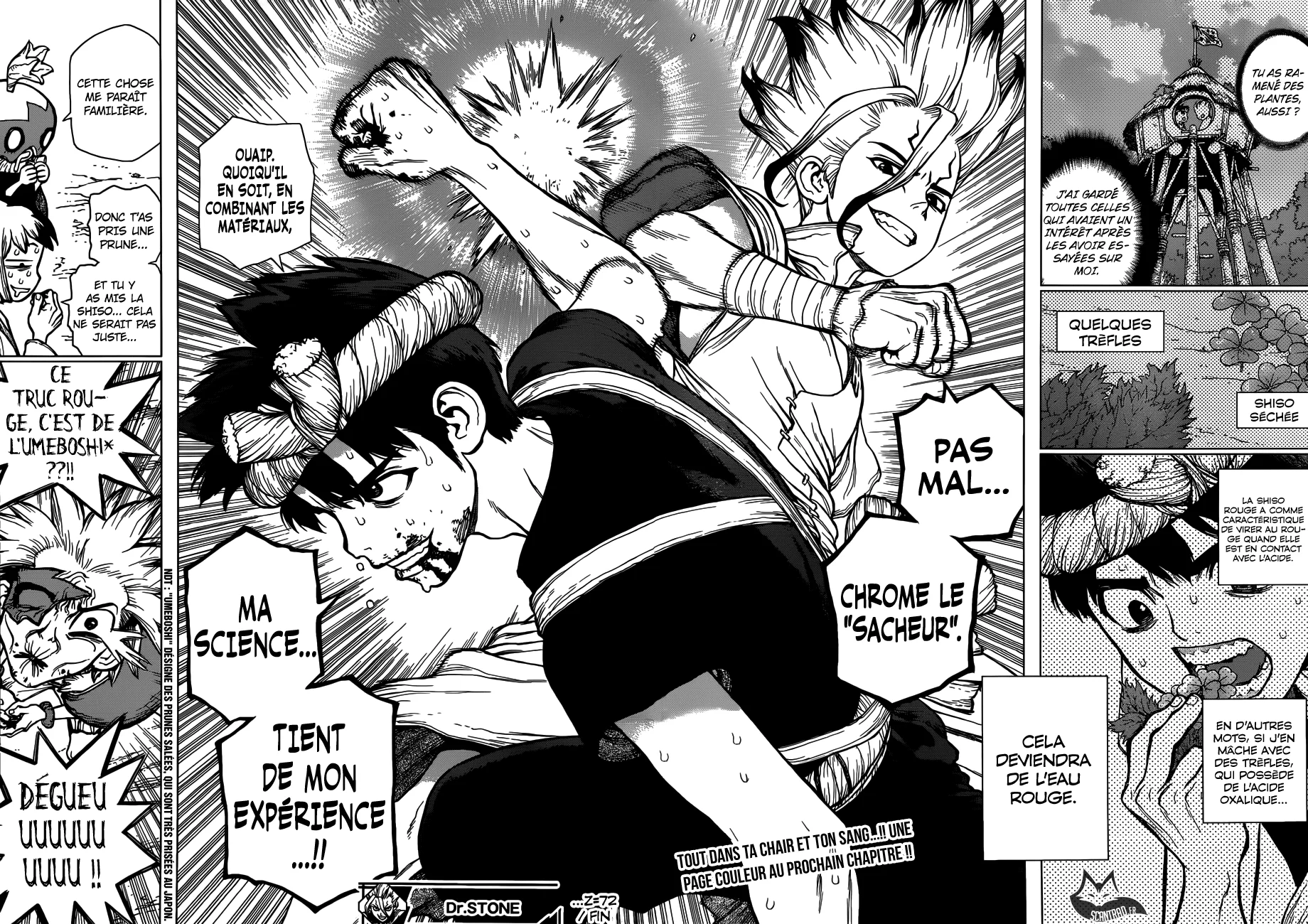 Chapter Image 297