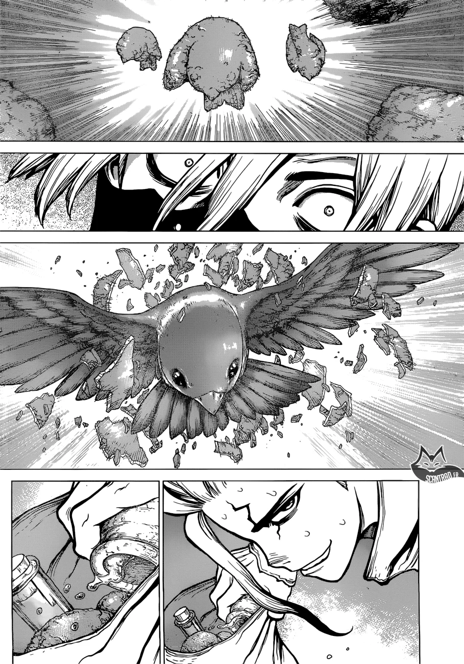 Chapter Image 482