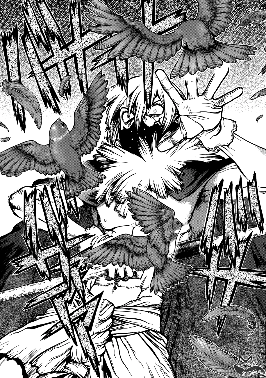 Chapter Image 519