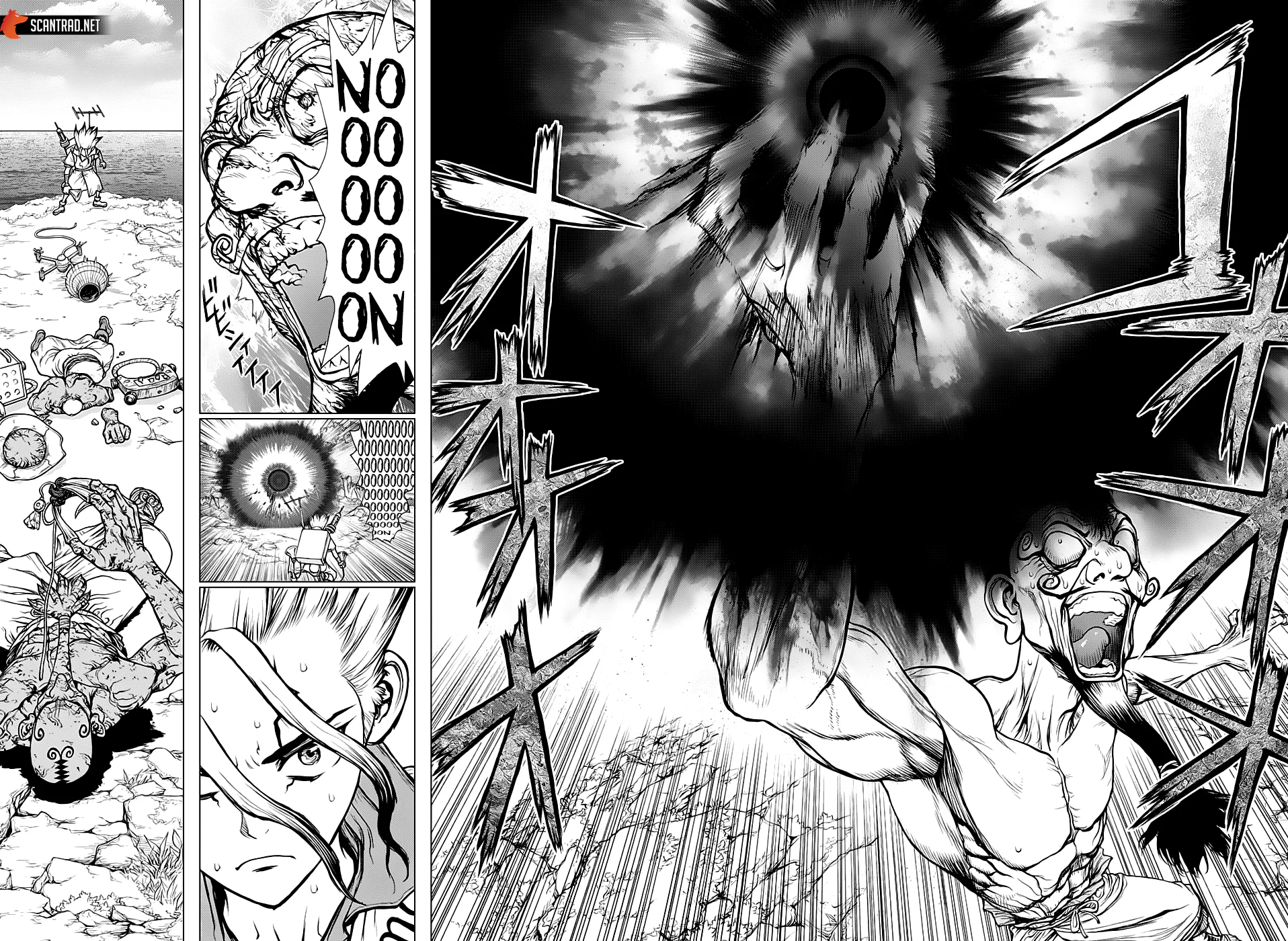 Chapter Image 260