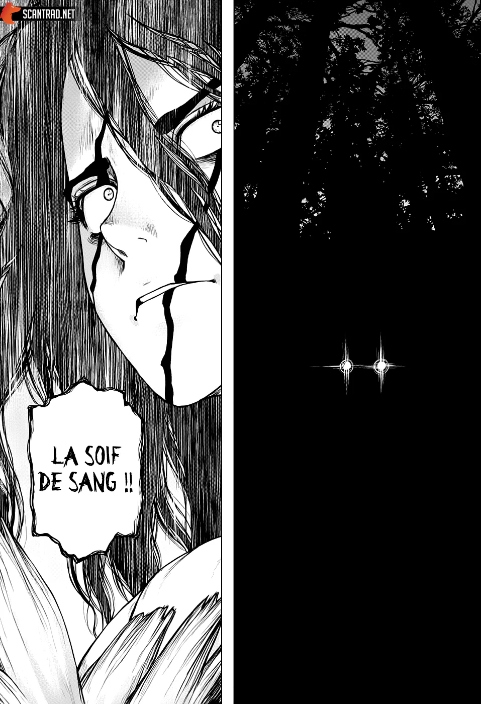 Chapter Image 297