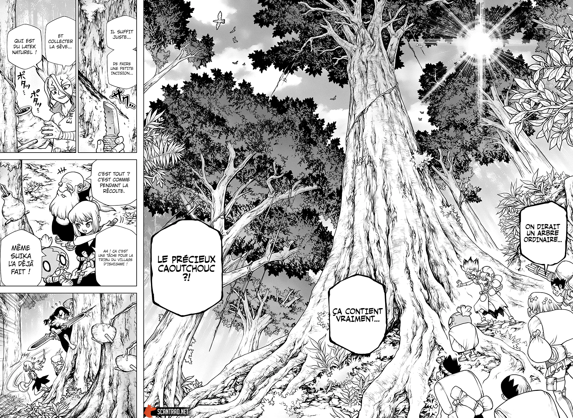 Chapter Image 38