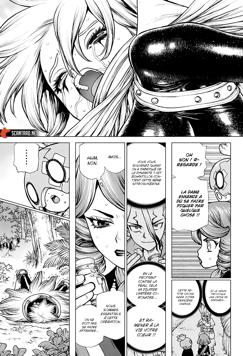 Chapter Image 519
