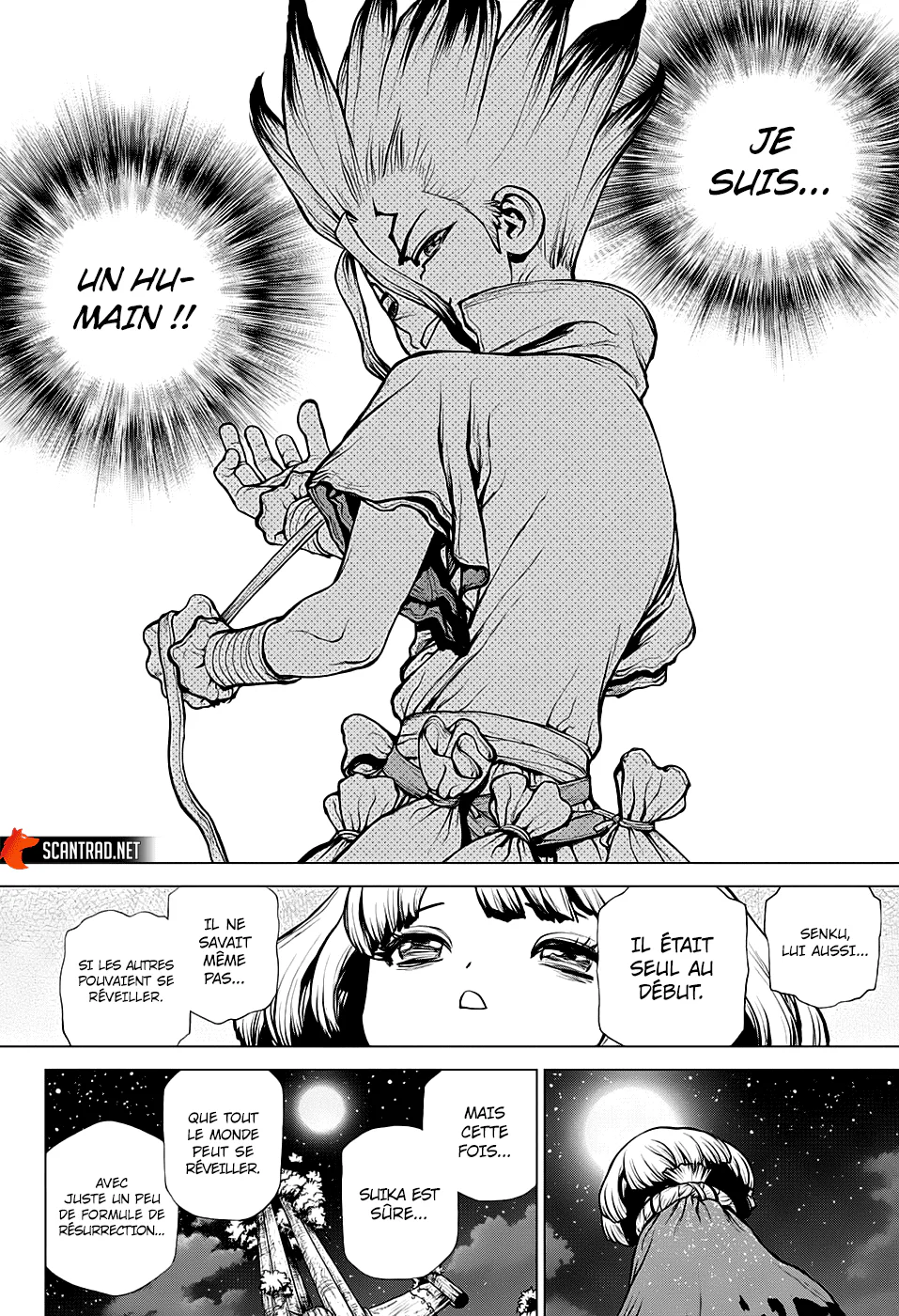 Chapter Image 519