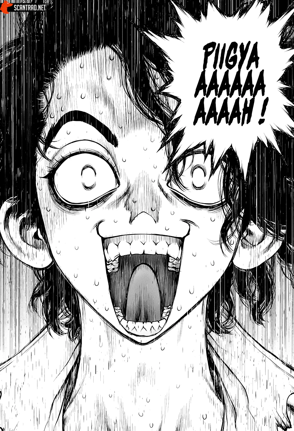 Chapter Image 482