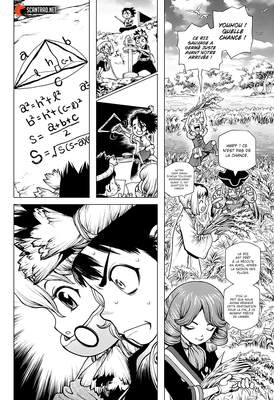 Chapter Image 260