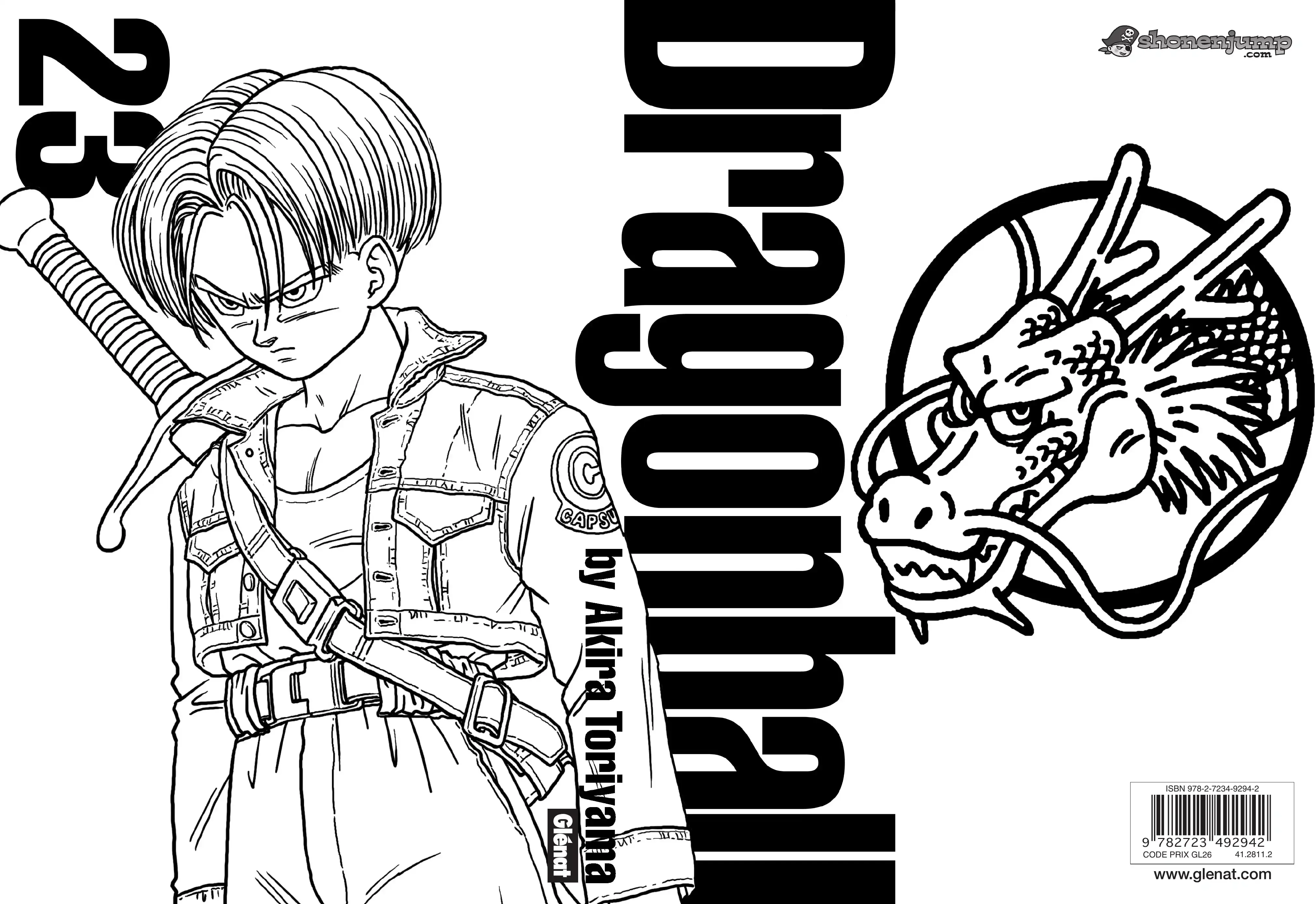 Chapter Image 963