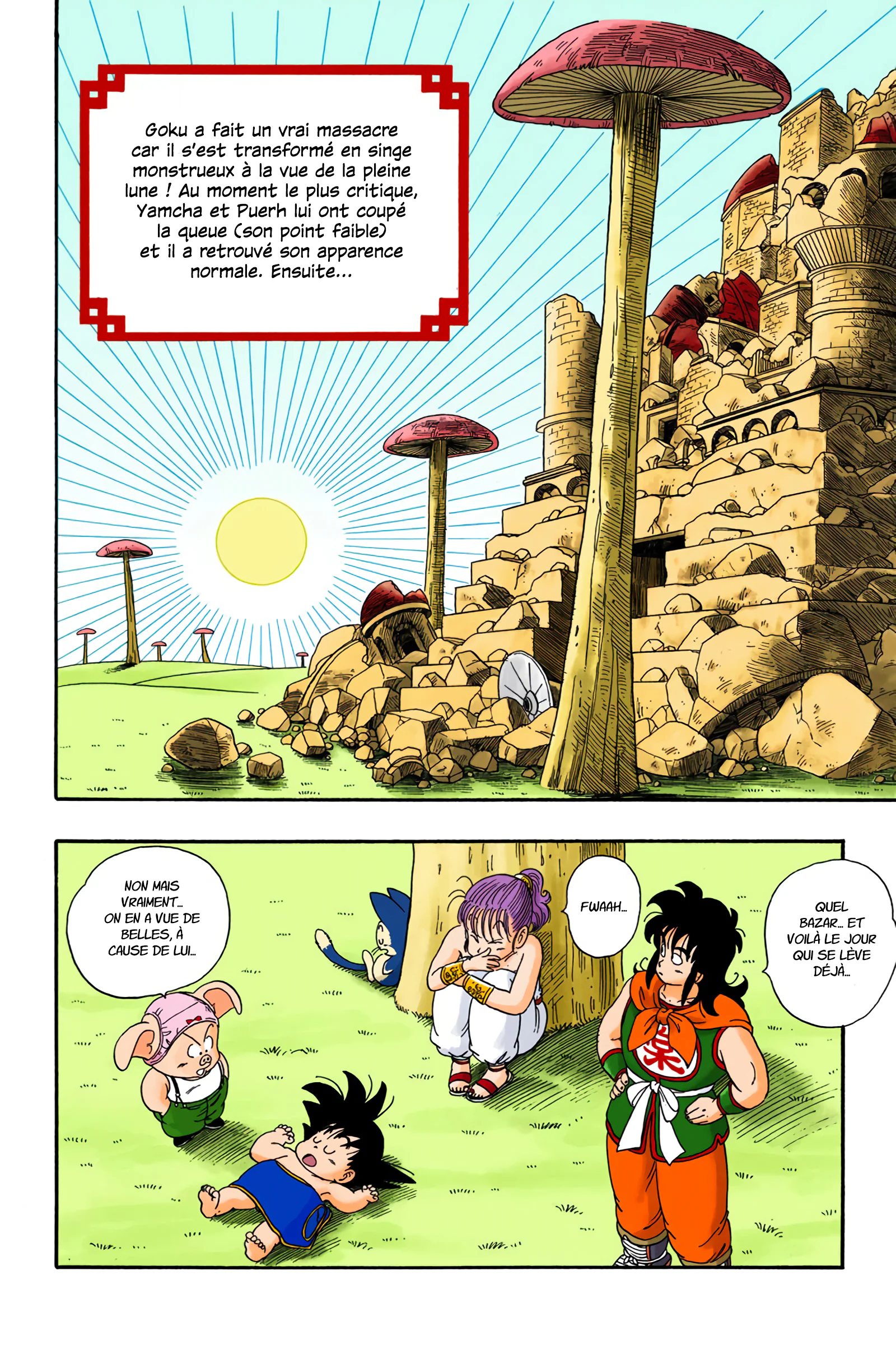 Chapter Image 260