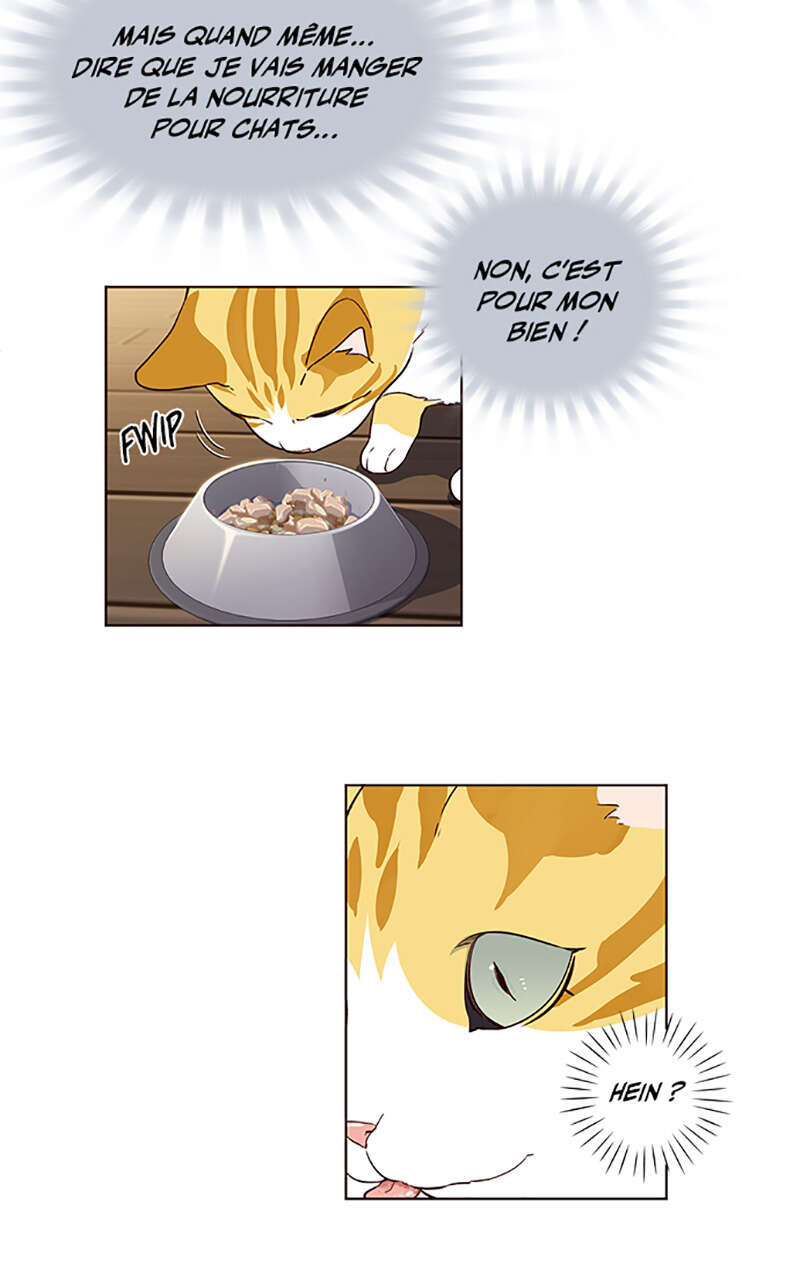 Chapter Image 778