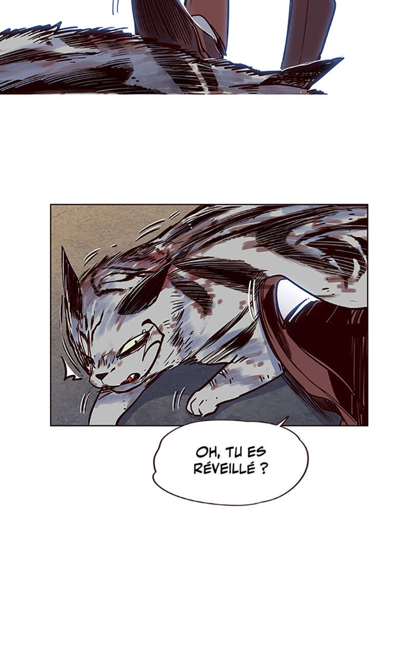 Chapter Image 1