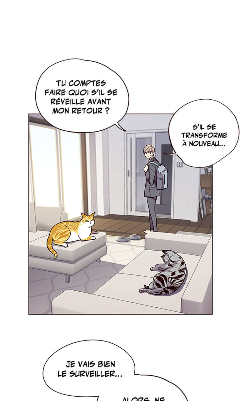 Chapter Image 297