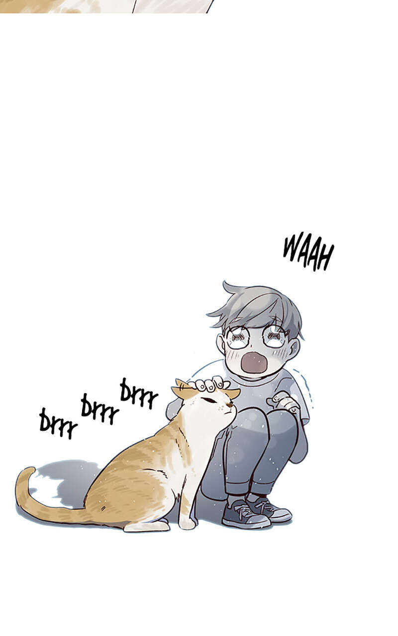 Chapter Image 741