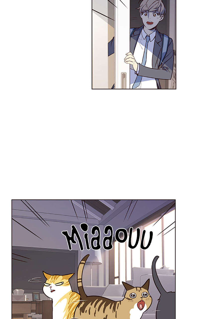 Chapter Image 704