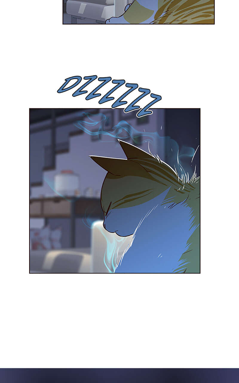 Chapter Image 778