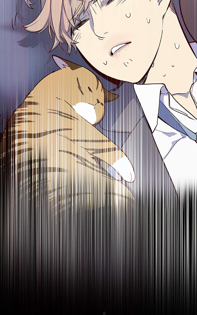 Chapter Image 149
