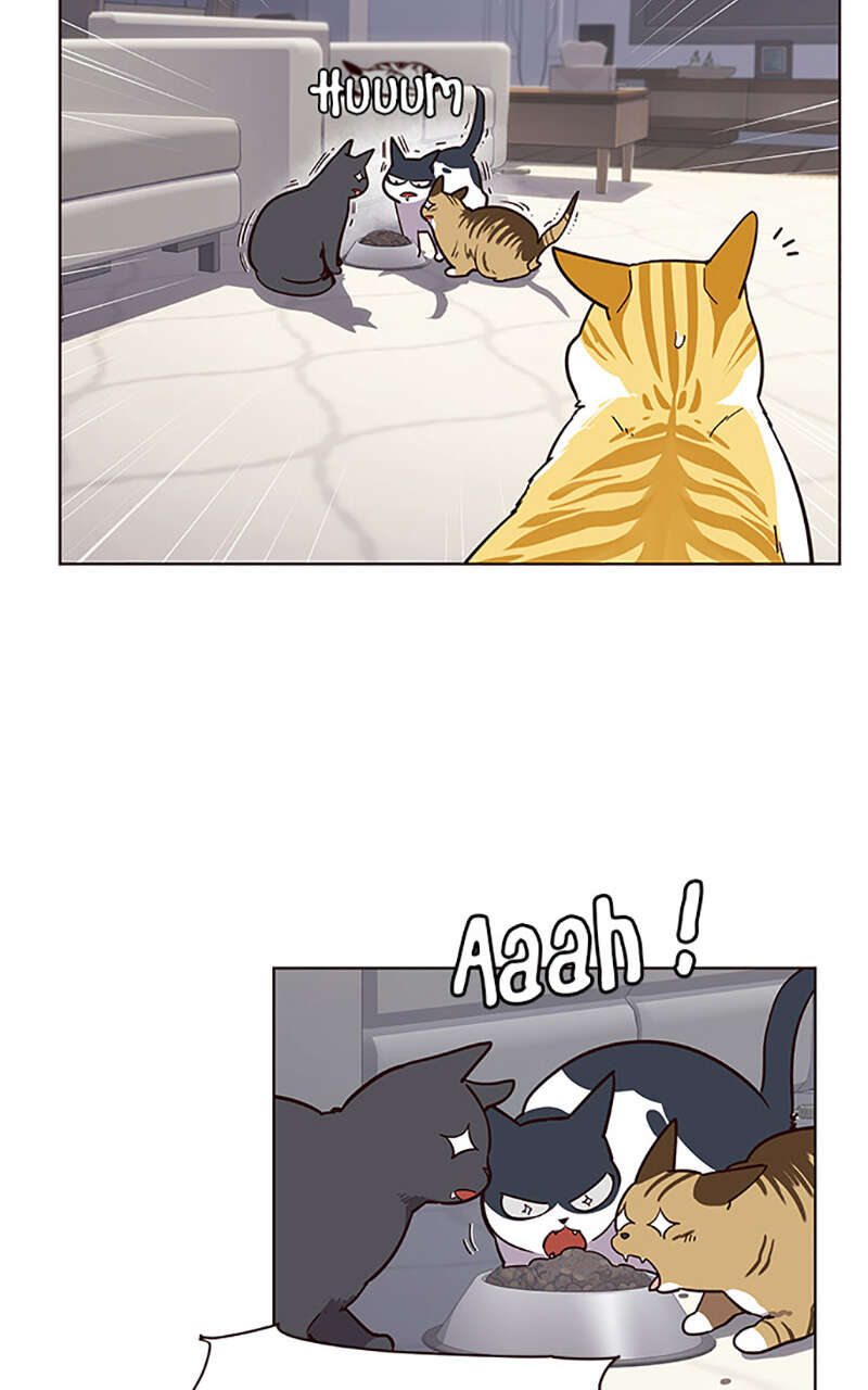 Chapter Image 38