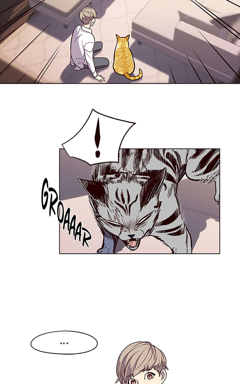 Chapter Image 667