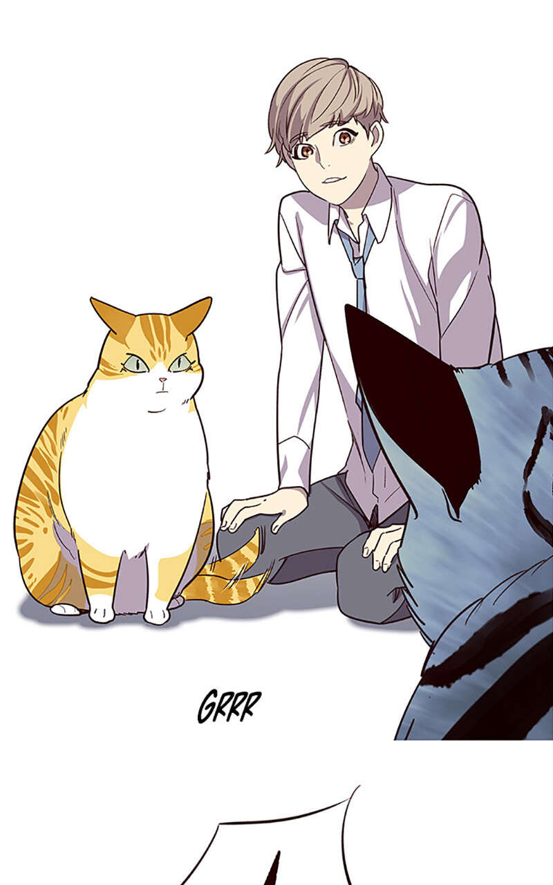 Chapter Image 593
