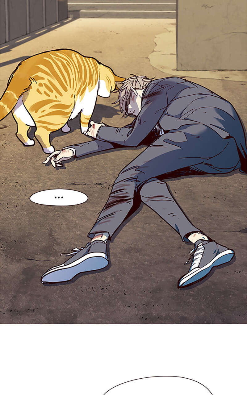 Chapter Image 630