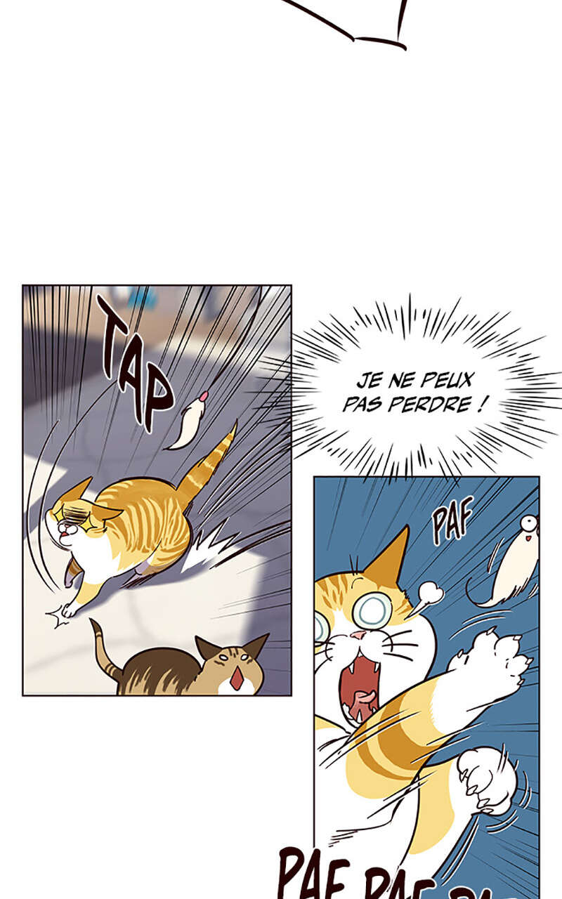 Chapter Image 75