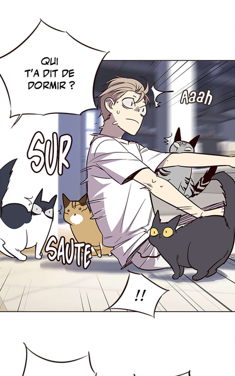 Chapter Image 667