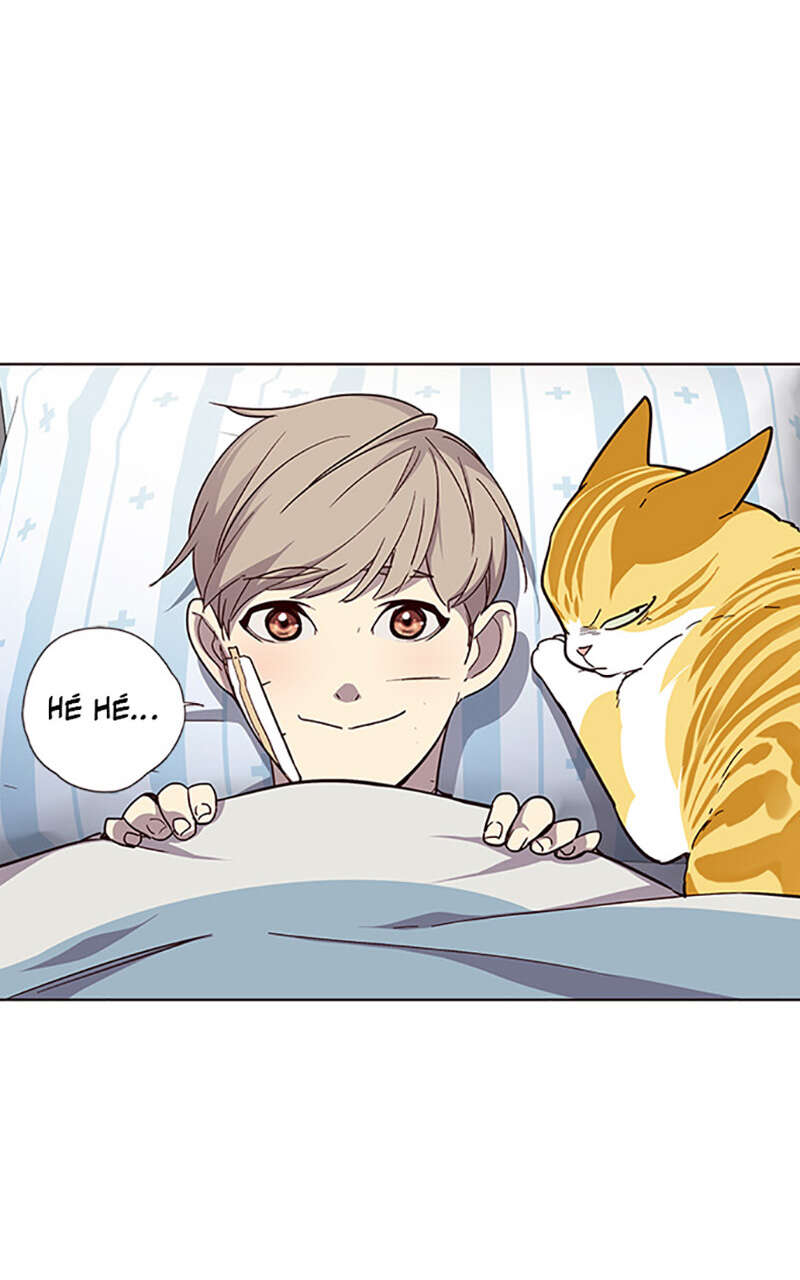 Chapter Image 1