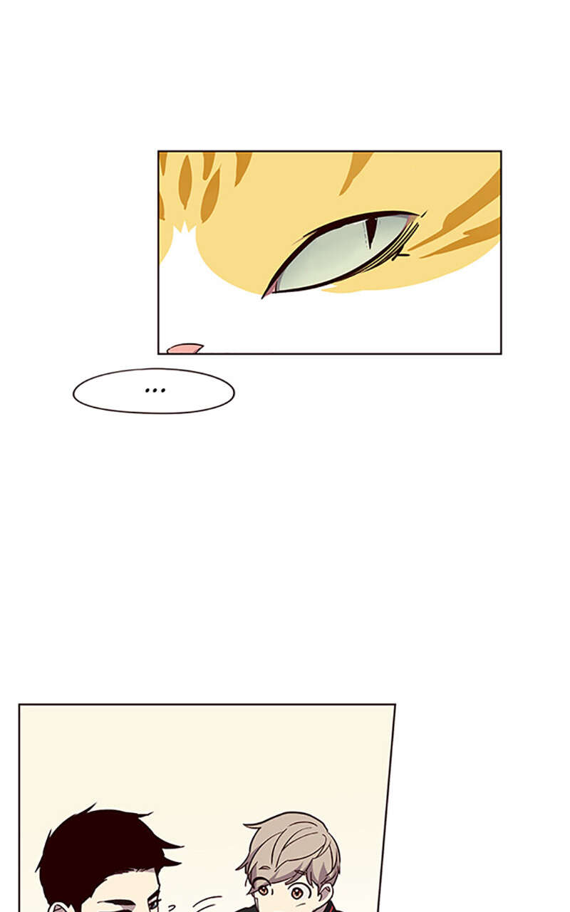 Chapter Image 667