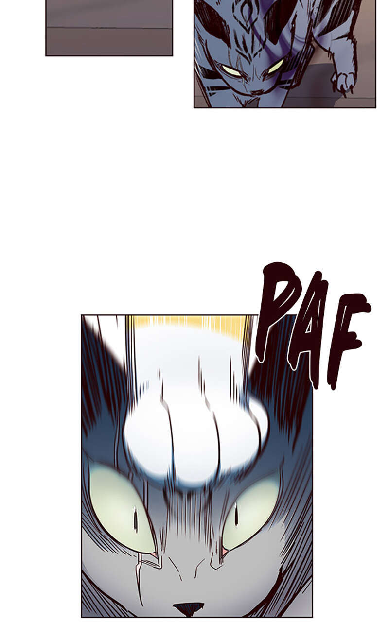 Chapter Image 112