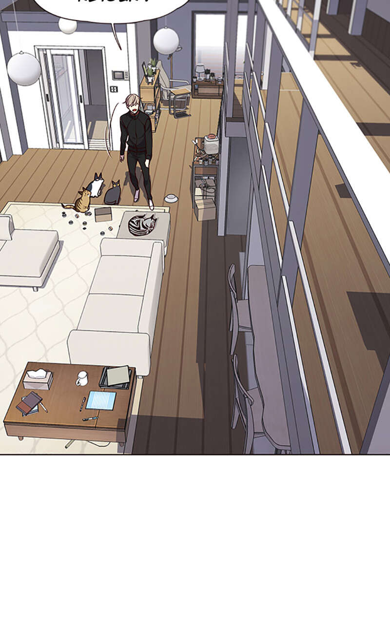 Chapter Image 38