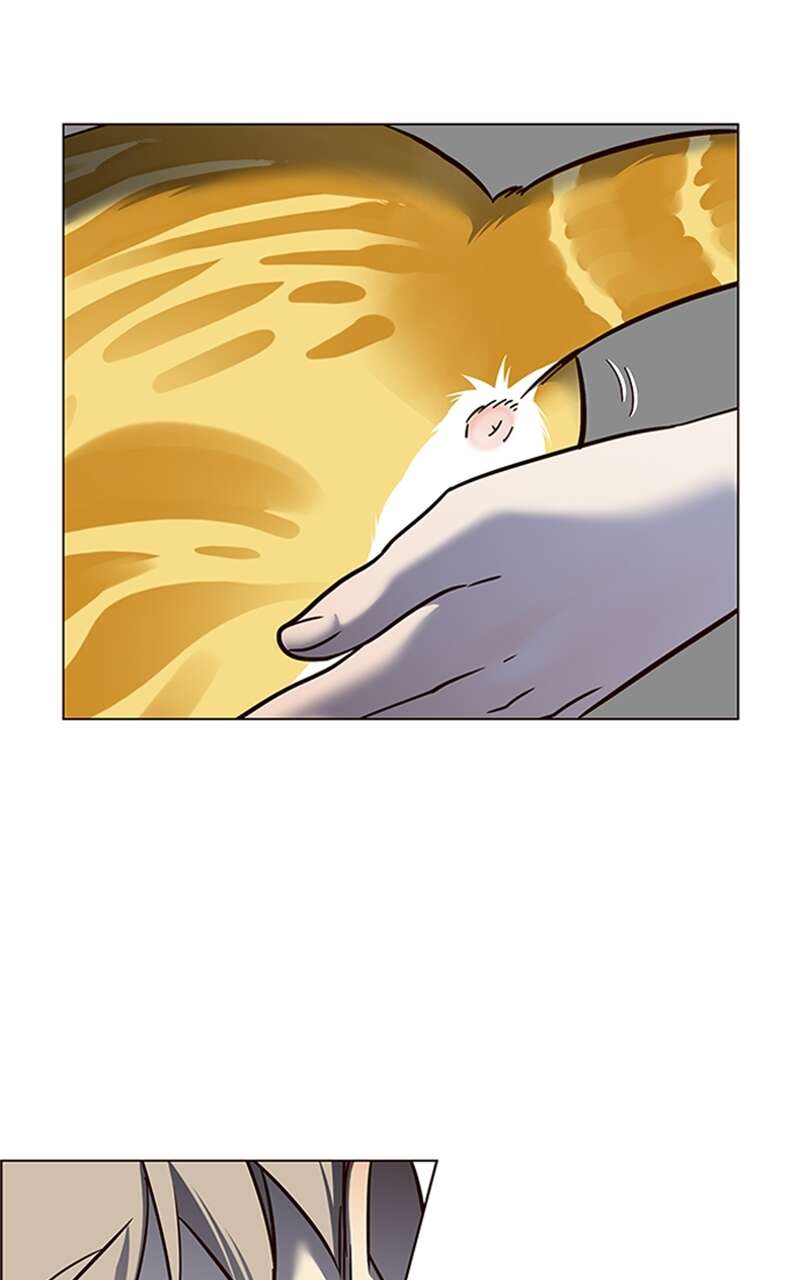 Chapter Image 38