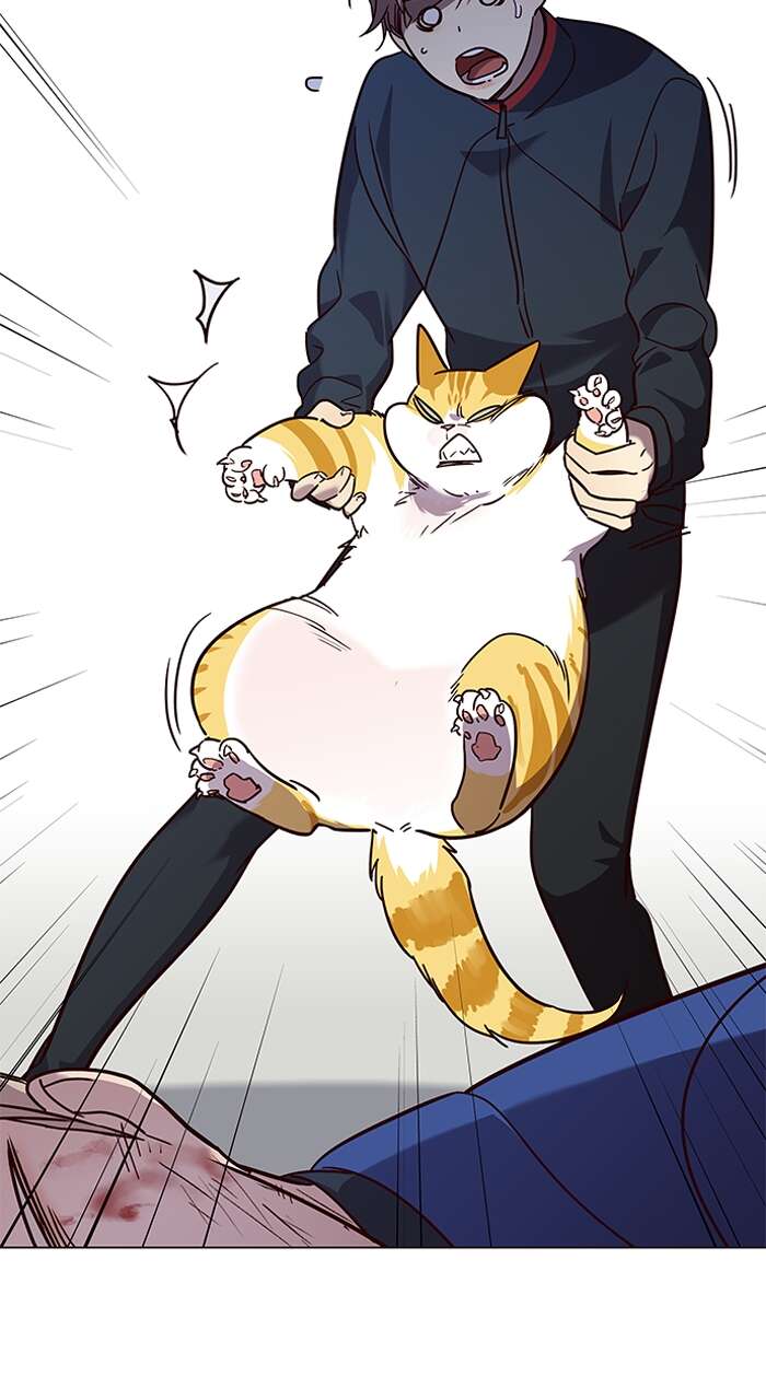 Chapter Image 852