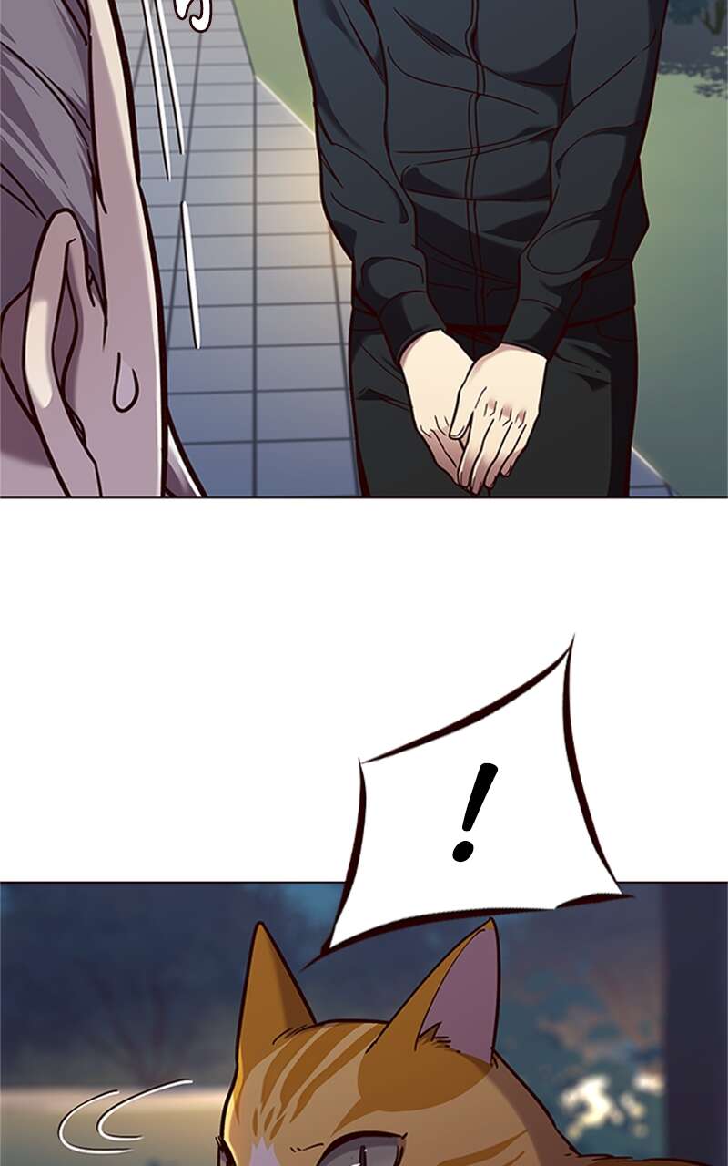 Chapter Image 593