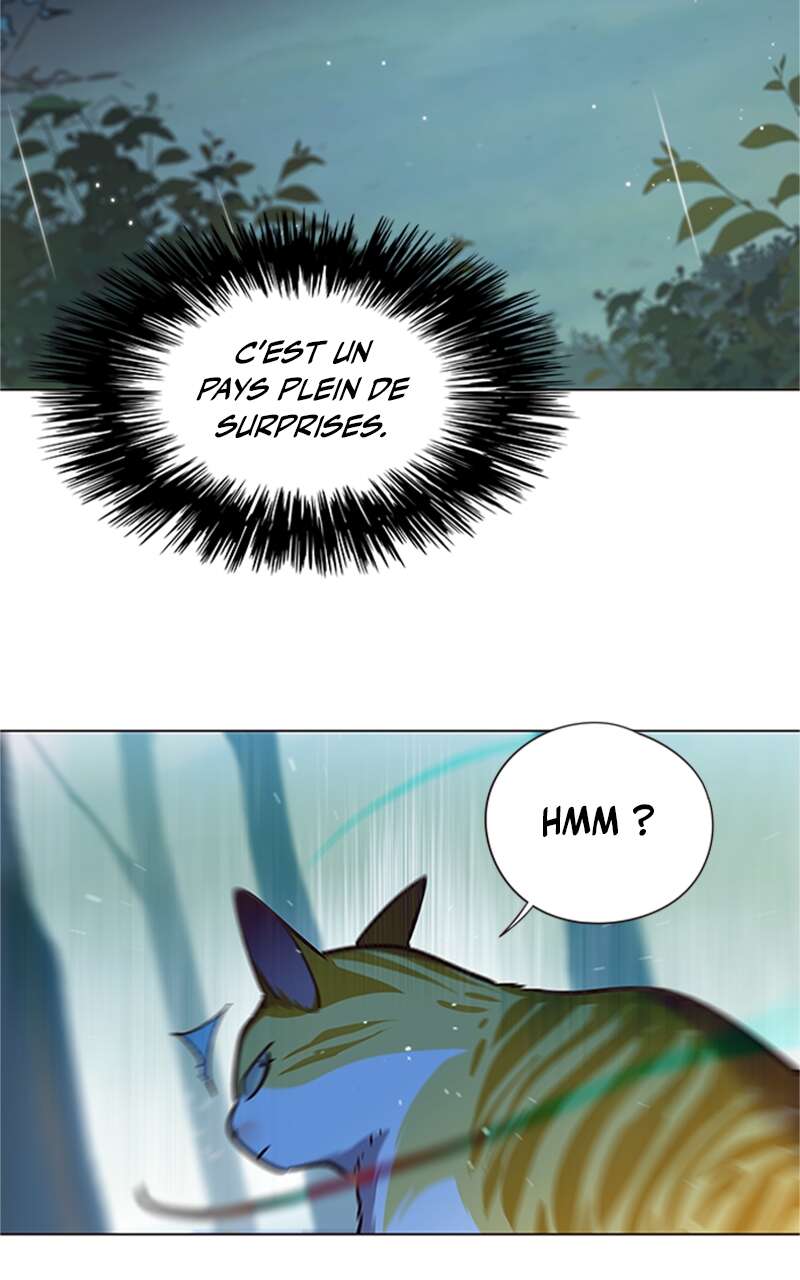 Chapter Image 704
