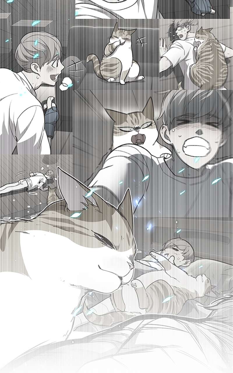 Chapter Image 704