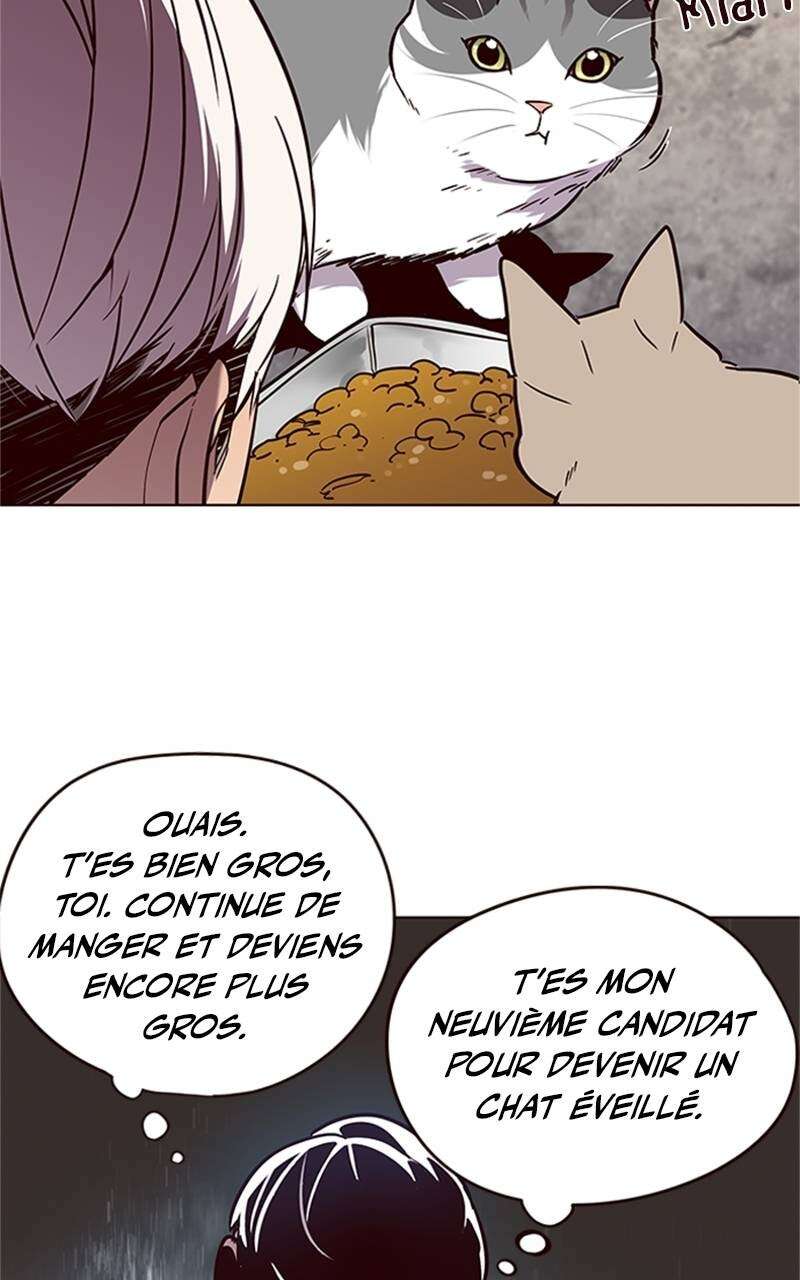 Chapter Image 704