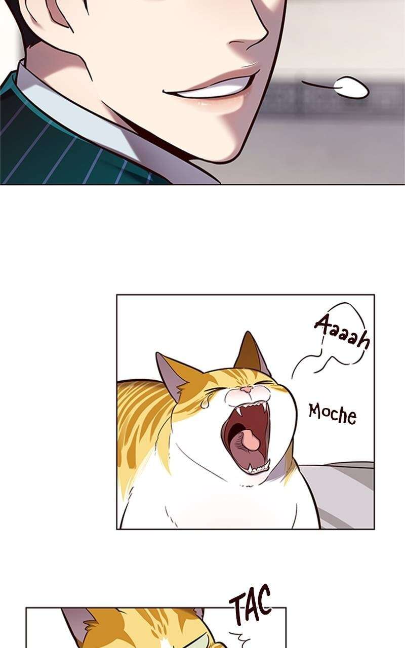 Chapter Image 704