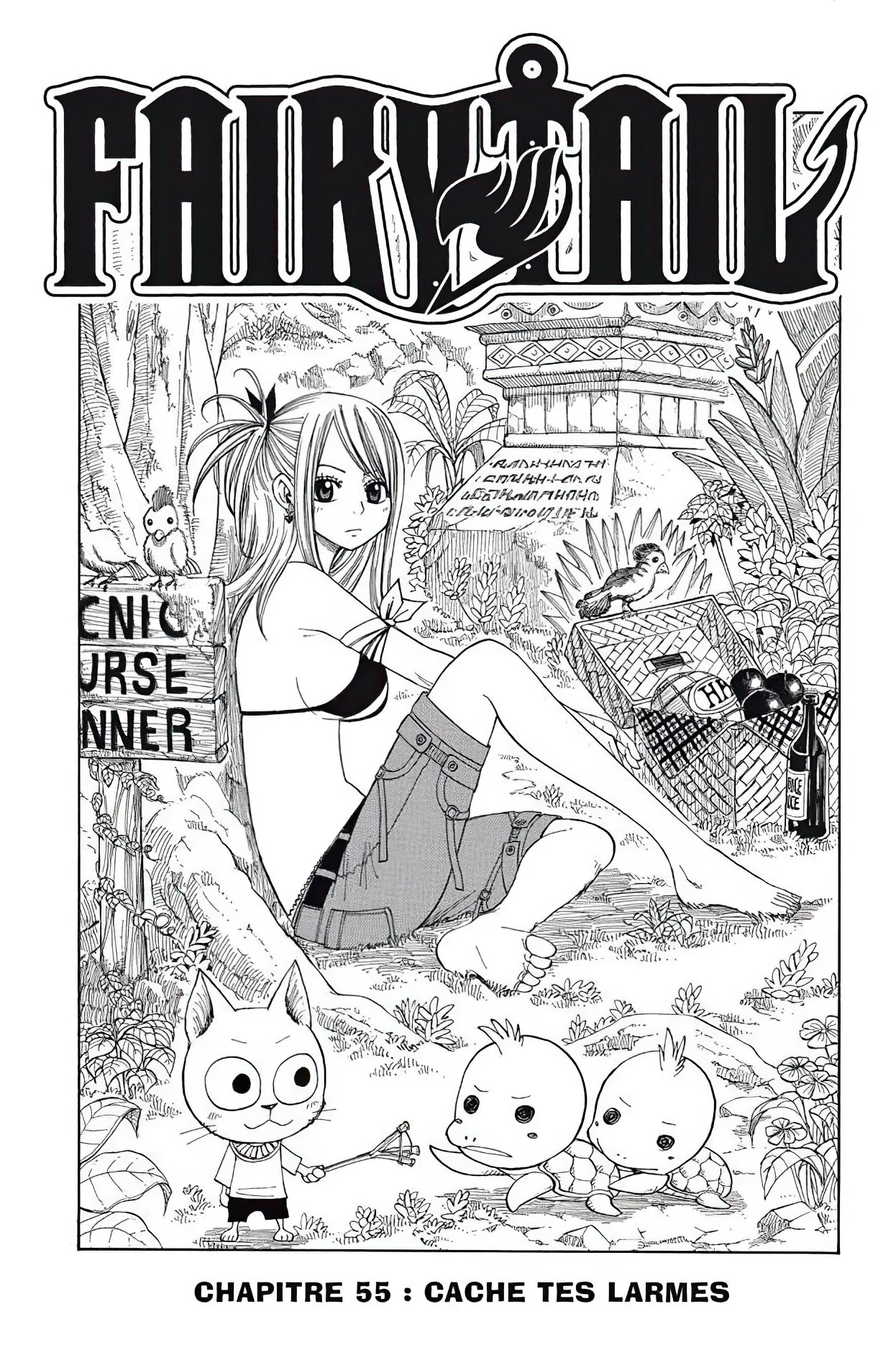 Chapter Image 963