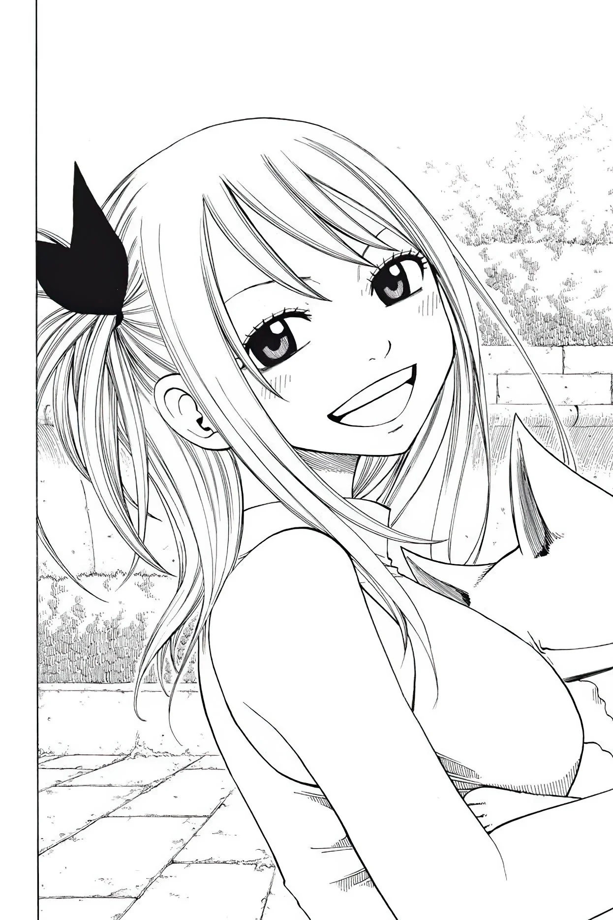Chapter Image 260