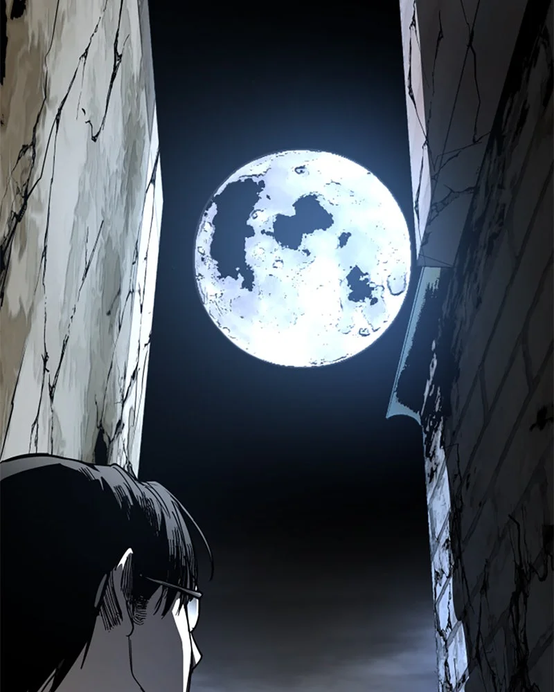 Chapter Image 186