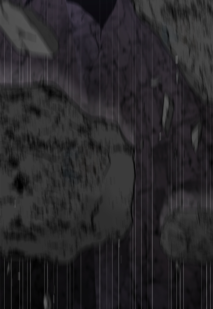 Chapter Image 778