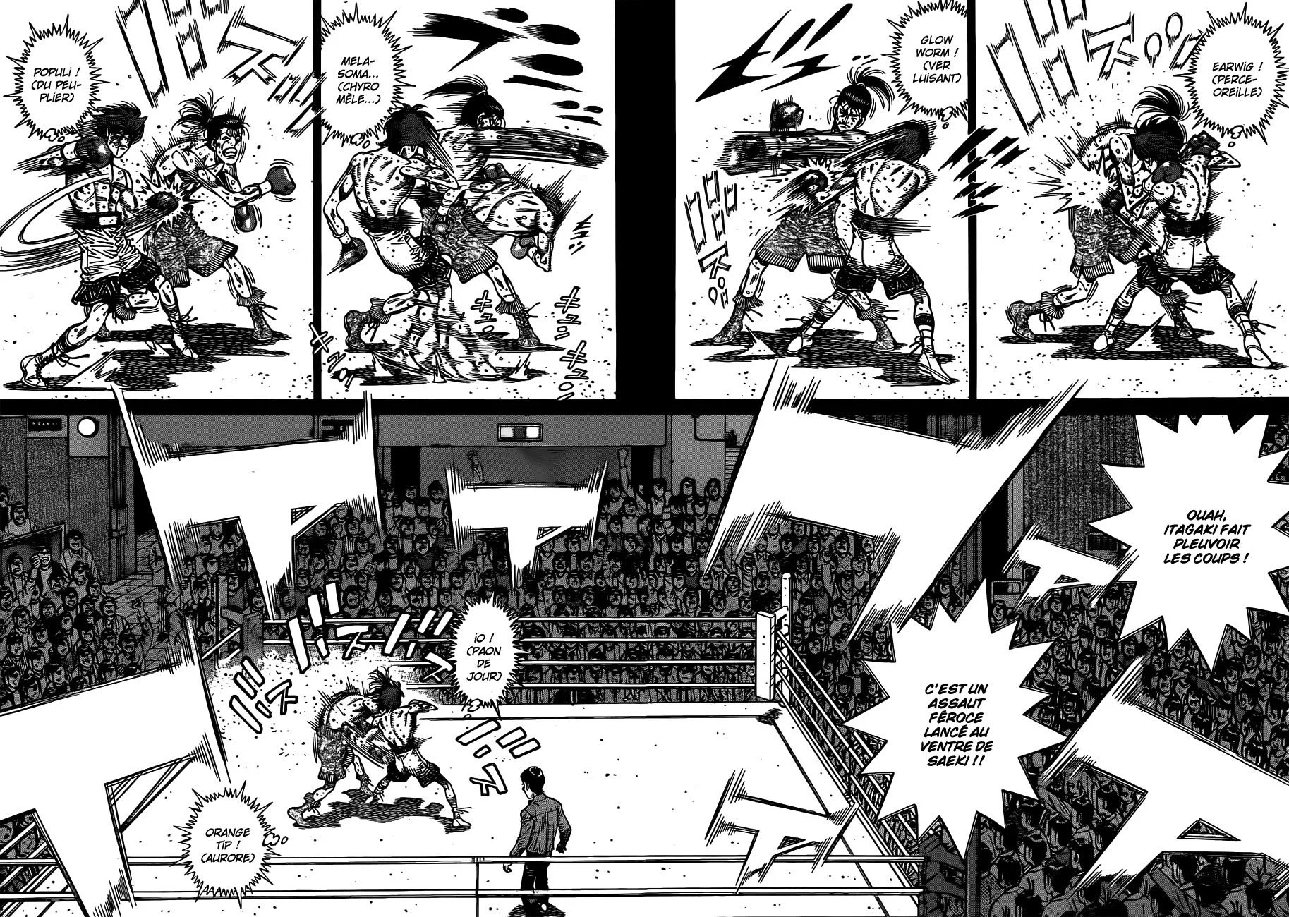 Chapter Image 297