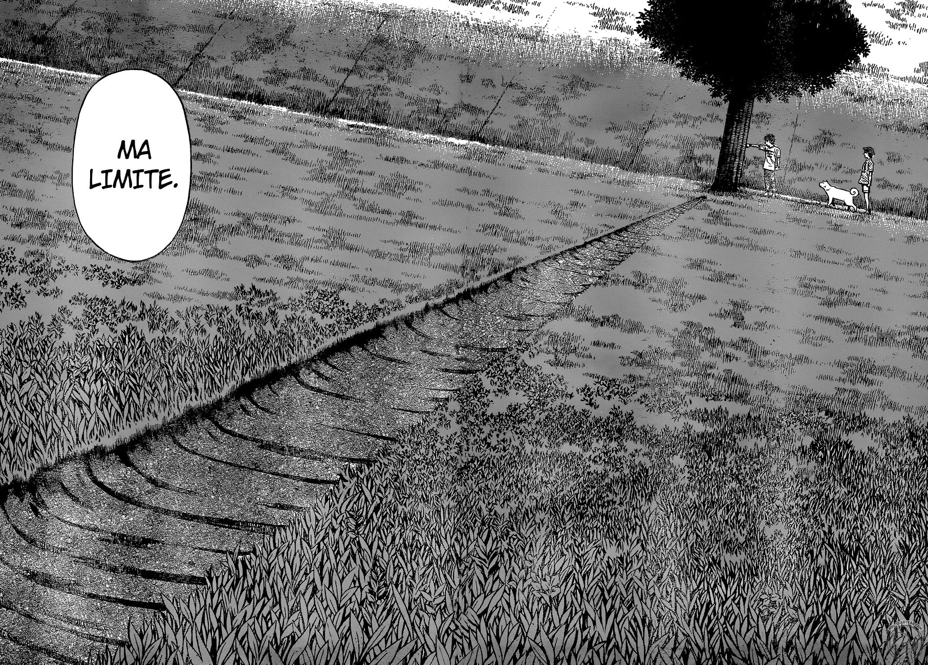 Chapter Image 260