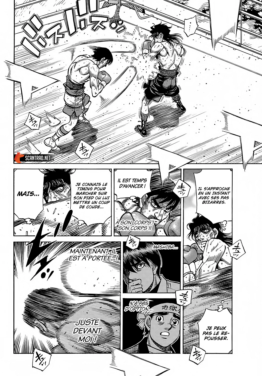 Chapter Image 519