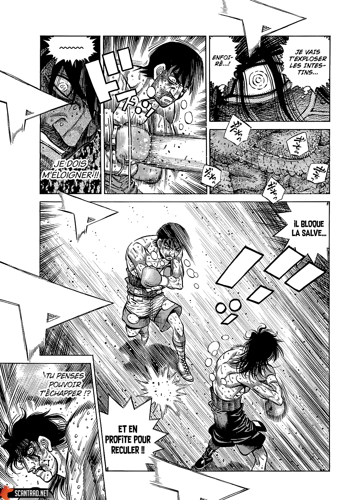 Chapter Image 186