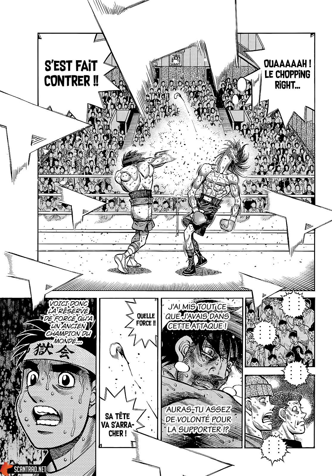 Chapter Image 519