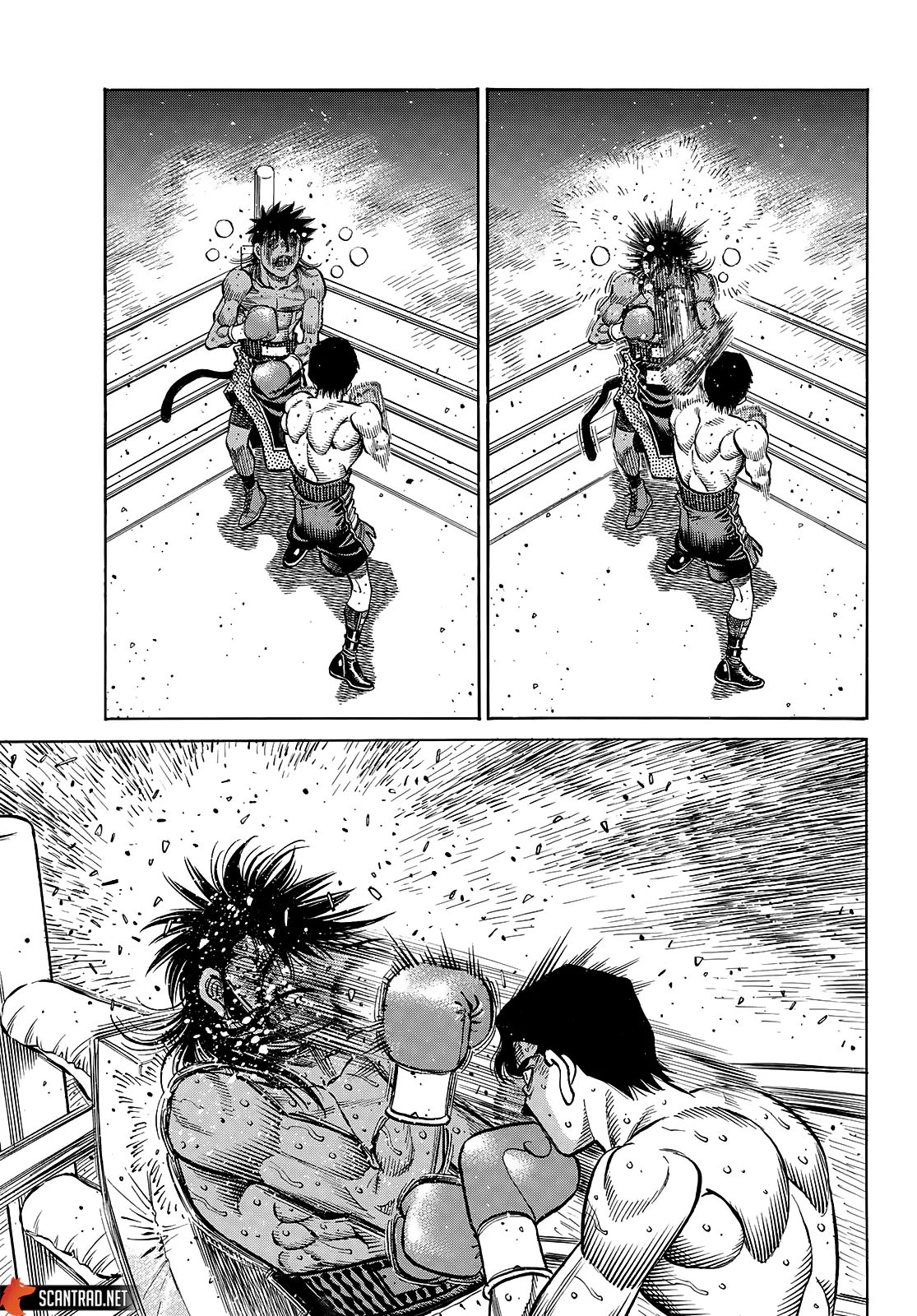Chapter Image 519