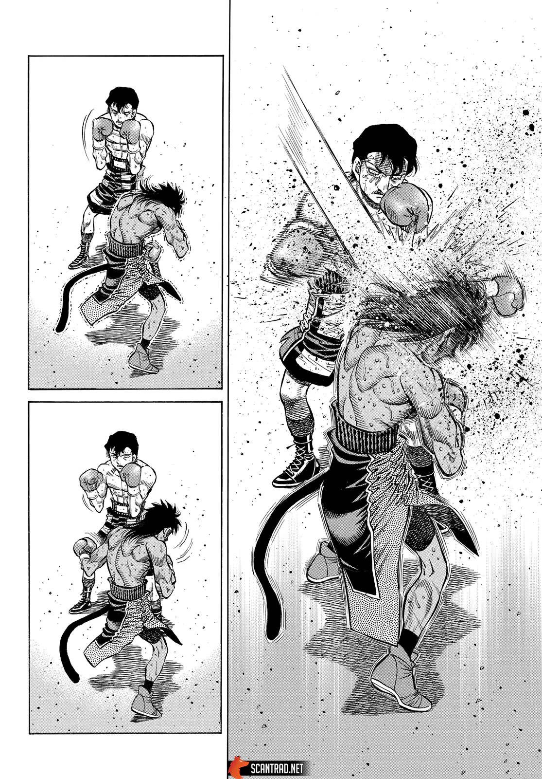 Chapter Image 260