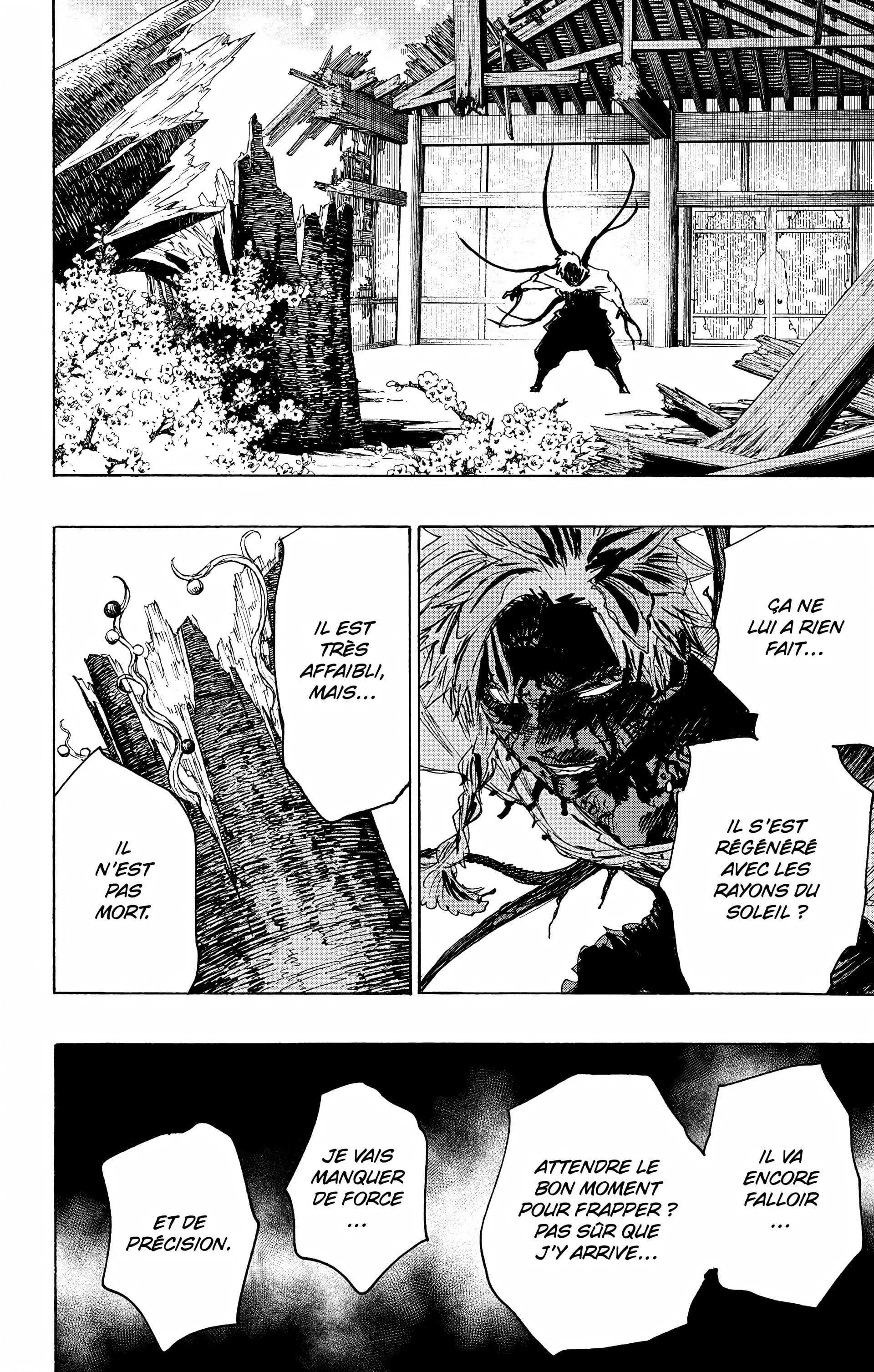 Chapter Image 519
