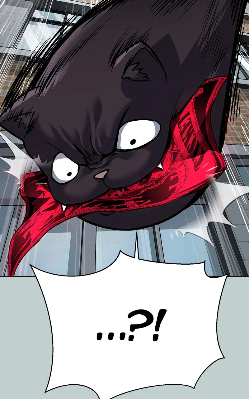 Chapter Image 75